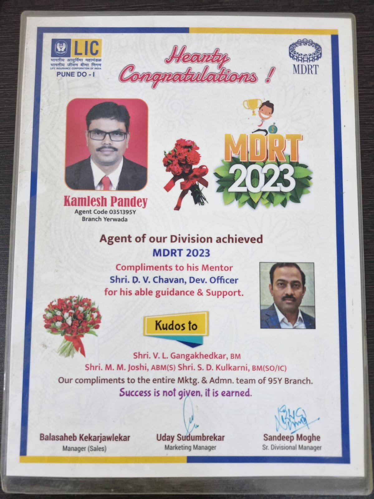 Professional achievement 3